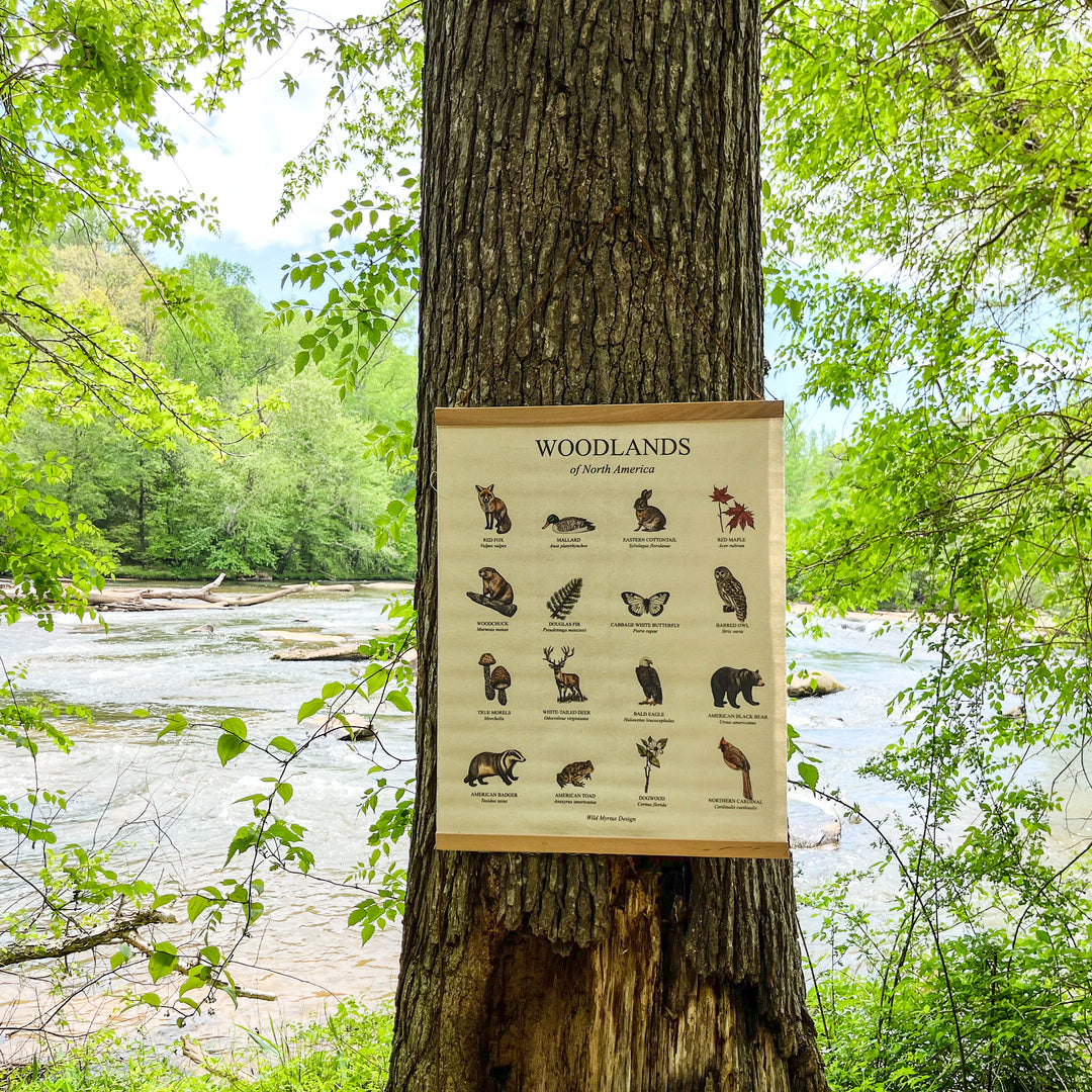 Handmade hanging organic raw canvas wall art featuring illustrated plants and animals from North American forests. Available in three different wood frames. All material sourced in the USA.