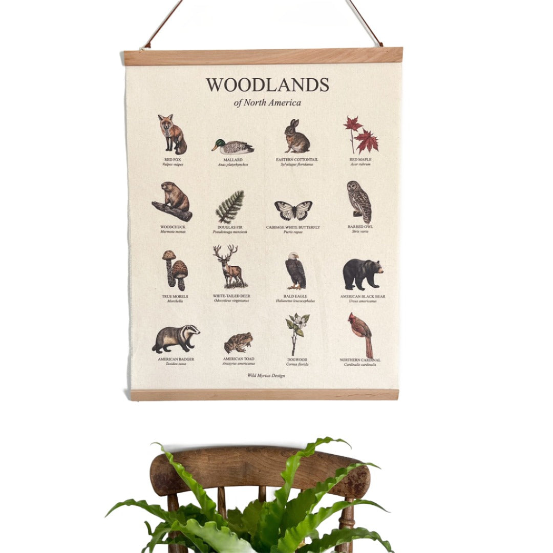 Handmade hanging organic raw canvas wall art featuring illustrated plants and animals from North American forests. Available in three different wood frames. All material sourced in the USA.