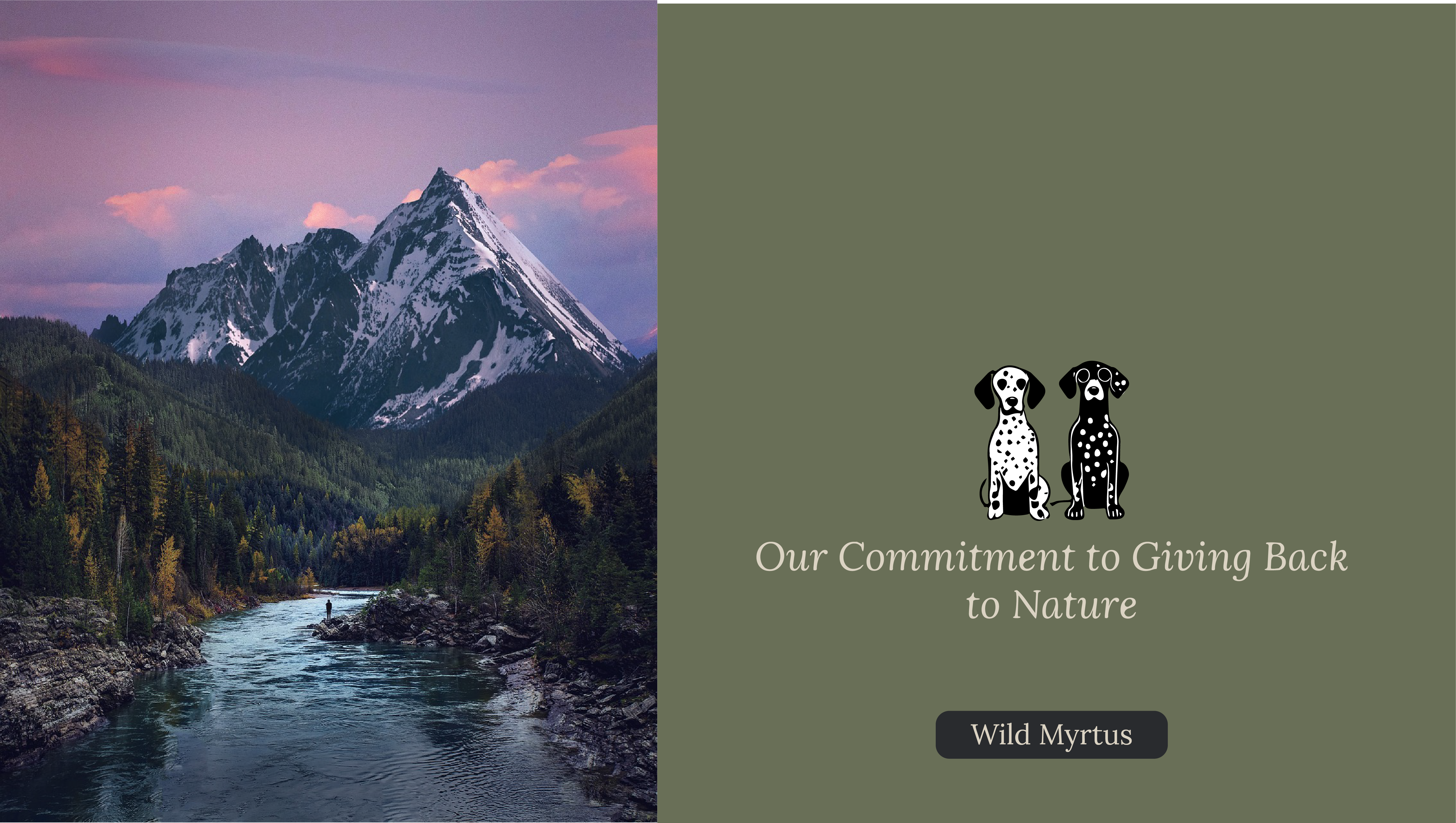 Our Commitment to Giving Back to Nature