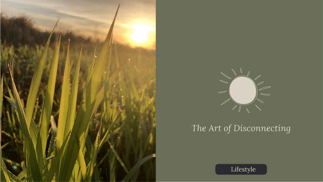 The Art of Disconnecting and Finding Your Peace in Nature