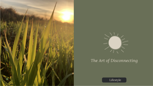 The Art of Disconnecting and Finding Your Peace in Nature