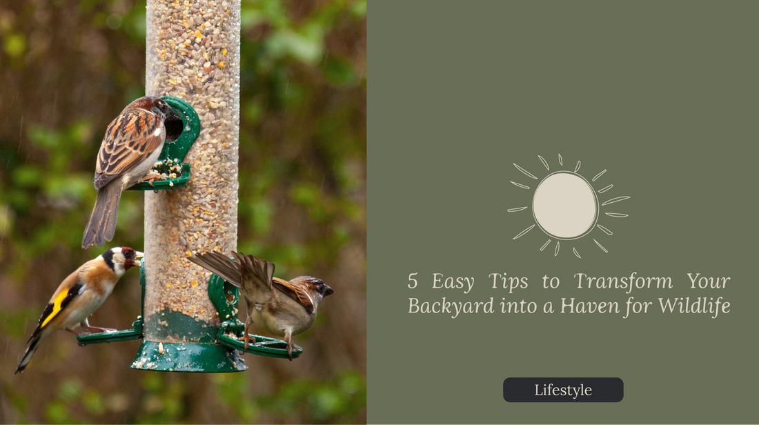 5 Easy Tips to Transform Your Backyard into a Haven for Wildlife