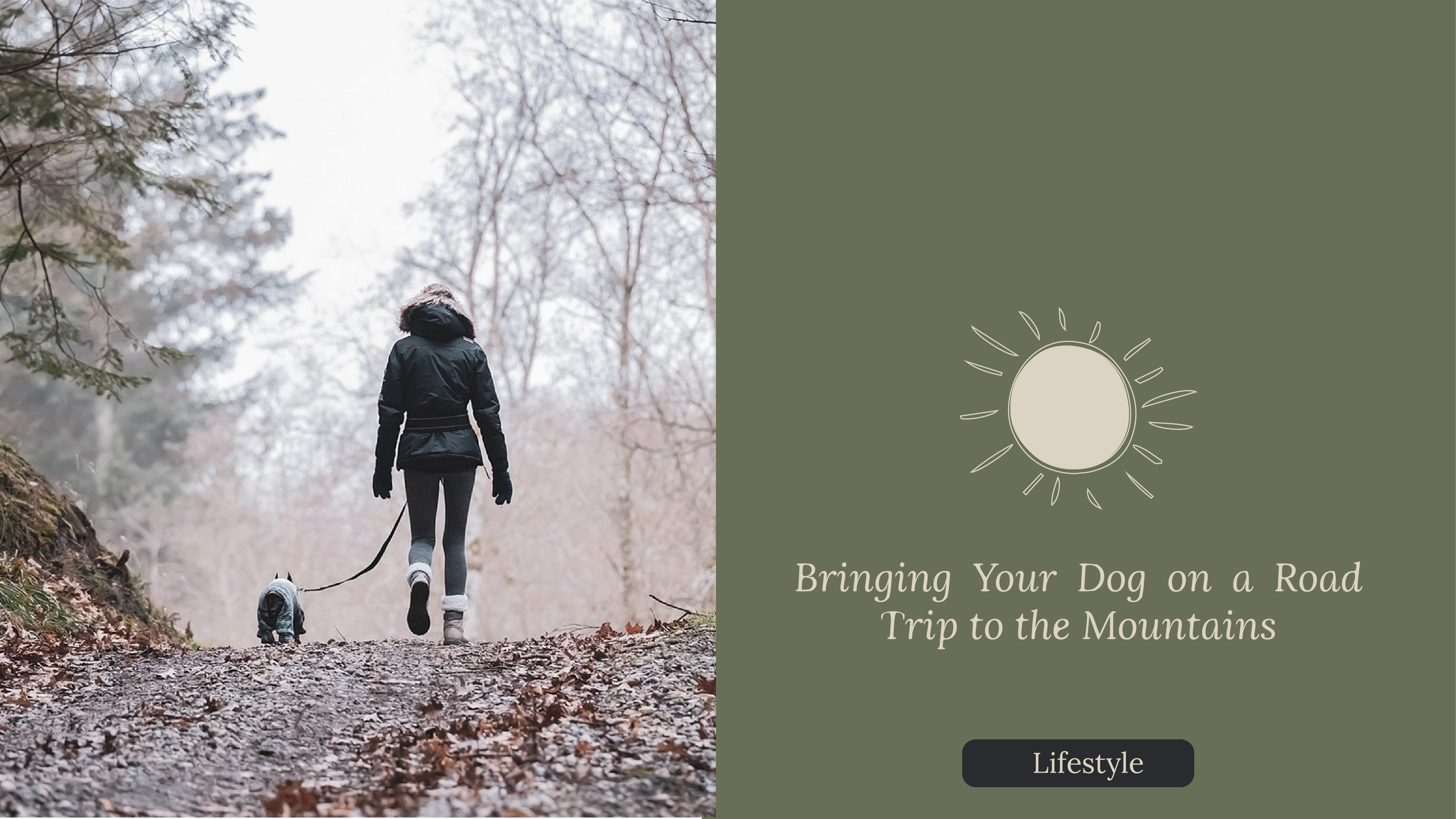 Bringing Your Dog on a Road Trip to the Mountains: Tips for a Safe and Enjoyable Adventure