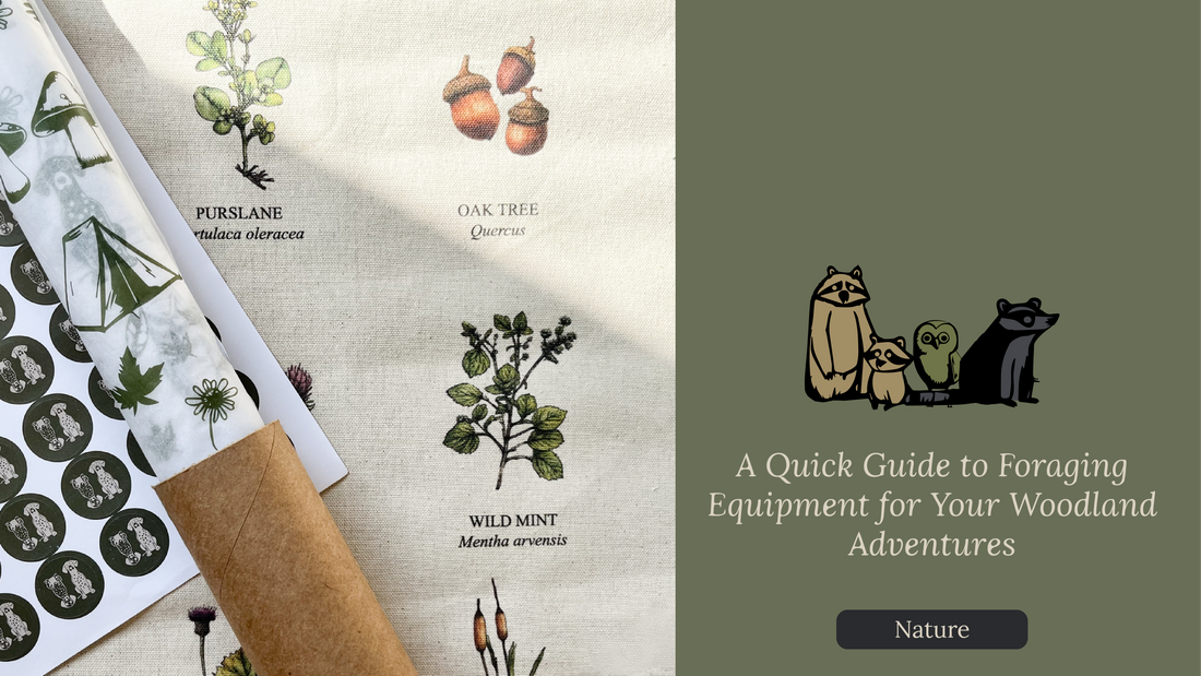 A Quick Guide to Foraging Equipment for Your Woodland Adventures