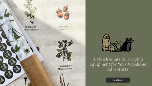 A Quick Guide to Foraging Equipment for Your Woodland Adventures