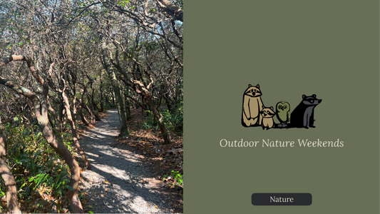 Spending Your Weekends in the Great Outdoors