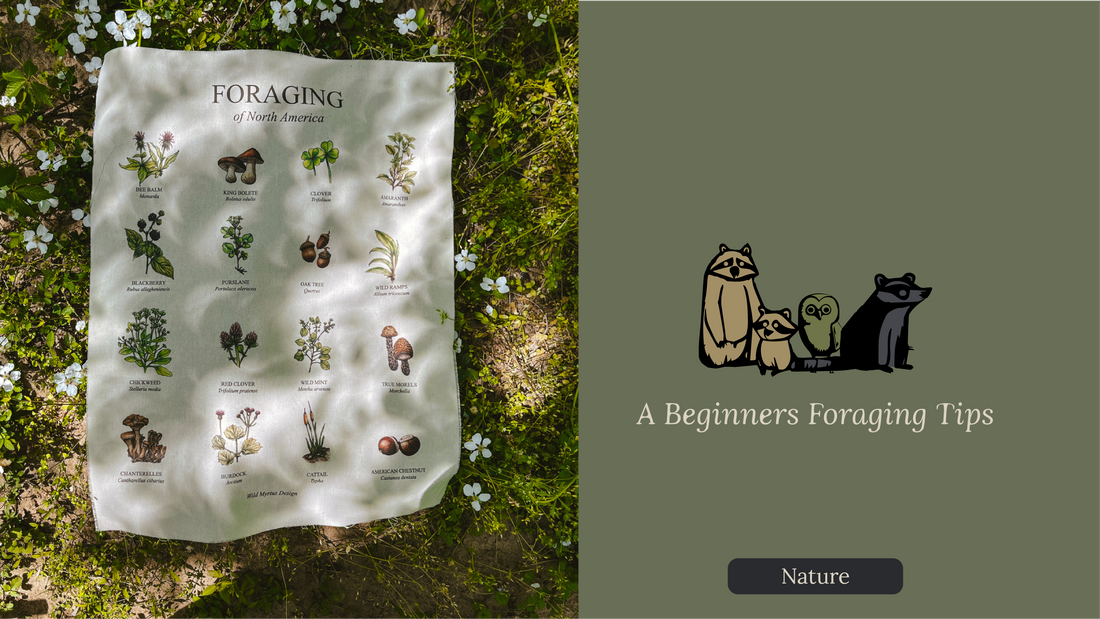 A Beginners Foraging Tips