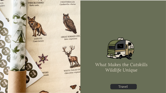 What Makes the Catskills Wildlife Unique