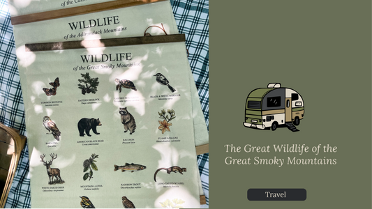 The Great Wildlife of the Great Smoky Mountains