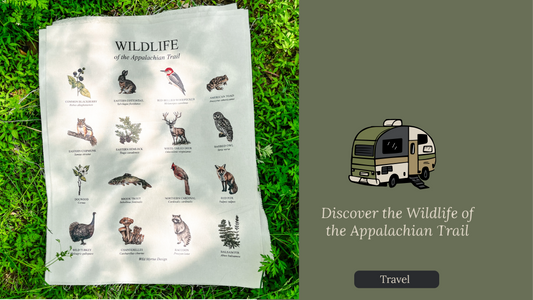 Discover the Wildlife of the Appalachian Trail