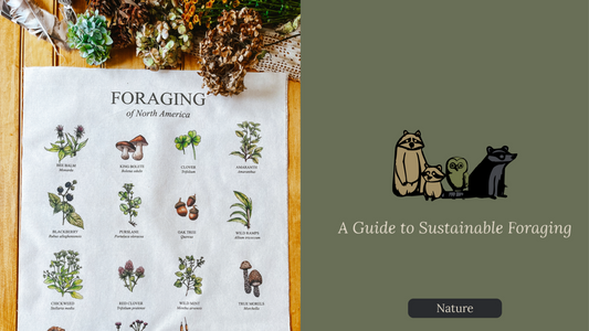 A Guide to Sustainable Foraging