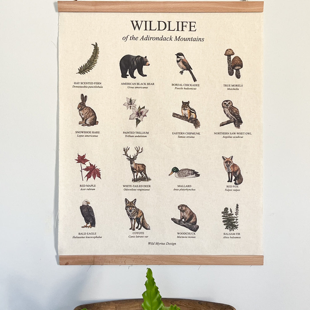 Handmade hanging organic raw canvas wall art featuring plant & animal illustrations from Adirondack Mountains forests. Perfect decor for nature lovers, outdoor adventurers and wildlife enthusiasts.