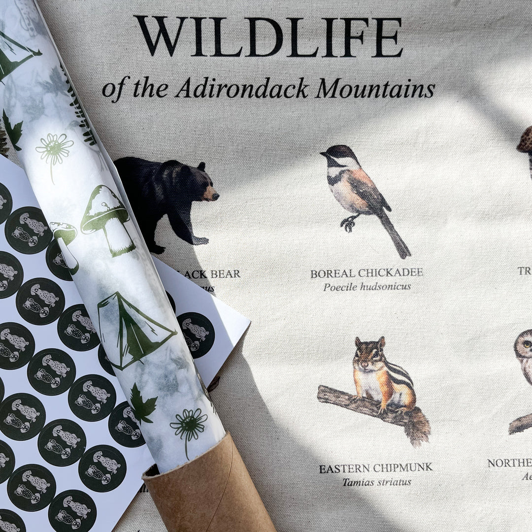 Handmade hanging organic raw canvas wall art featuring illustrated plant & animal species from the Adirondack Mountains. Available in three different wood frames. All material sourced in the USA.