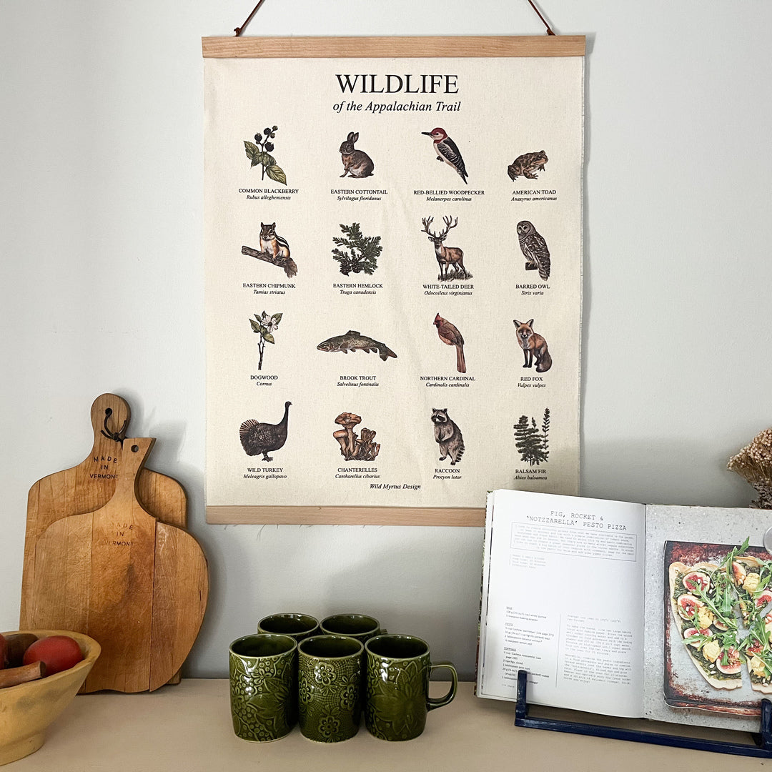 Handmade hanging organic raw canvas wall art featuring plant & animal illustrations from Appalachian Trail forests. Perfect decor for nature lovers, outdoor adventurers and wildlife enthusiasts.