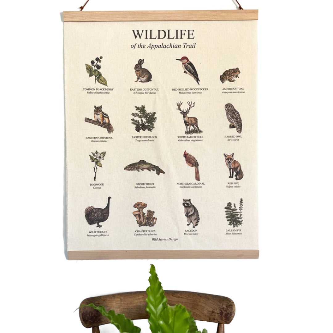 Handmade hanging organic raw canvas wall art featuring plant & animal illustrations from Appalachian Trail forests. Perfect decor for nature lovers, outdoor adventurers and wildlife enthusiasts.