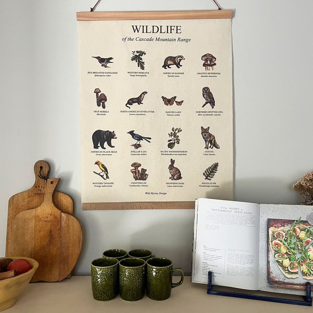 Handmade hanging organic raw canvas wall art featuring illustrated plant & animal species from the Cascade Mountains. Available in three different wood frames. All material sourced in the USA.