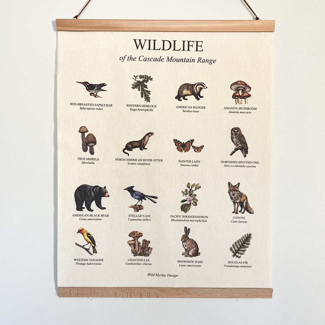 Handmade hanging organic raw canvas wall art featuring illustrated plant & animal species from the Cascade Mountains. Available in three different wood frames. All material sourced in the USA.