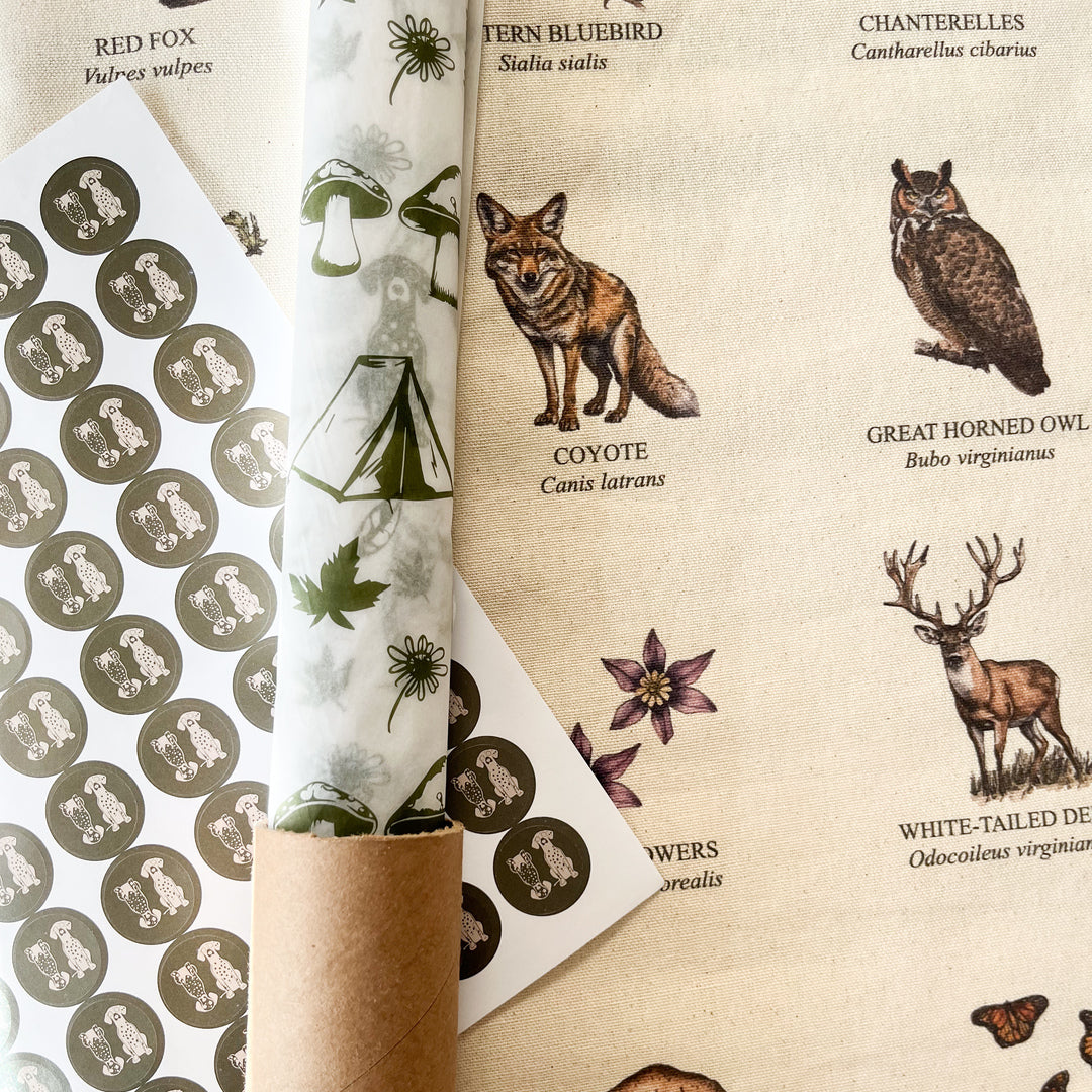 Handmade hanging organic raw canvas wall art featuring illustrated plant & animal species from the Catskill Mountains. Available in three different wood frames. All material sourced in the USA.