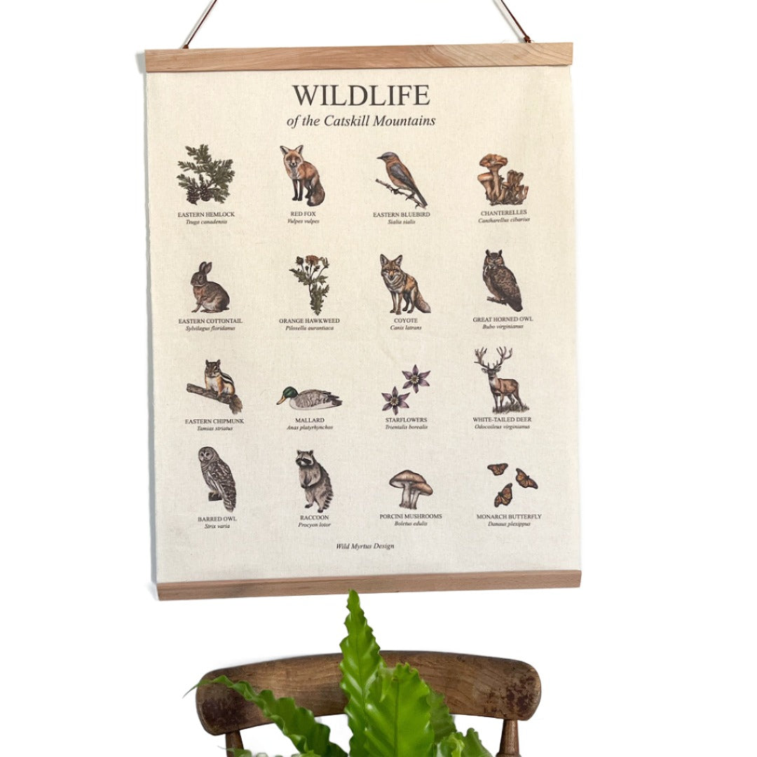 Handmade hanging organic raw canvas wall art featuring illustrated plant & animal species from the Catskill Mountains. Available in three different wood frames. All material sourced in the USA.