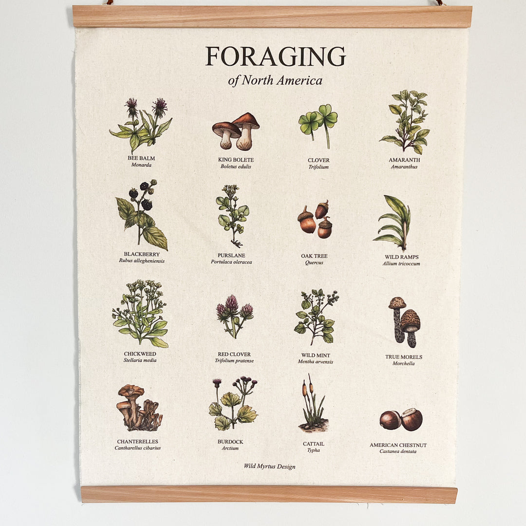 Handmade hanging organic raw canvas wall art featuring illustrated foraging plants from North American forests. Available in three different wood frames. All material sourced in the USA.