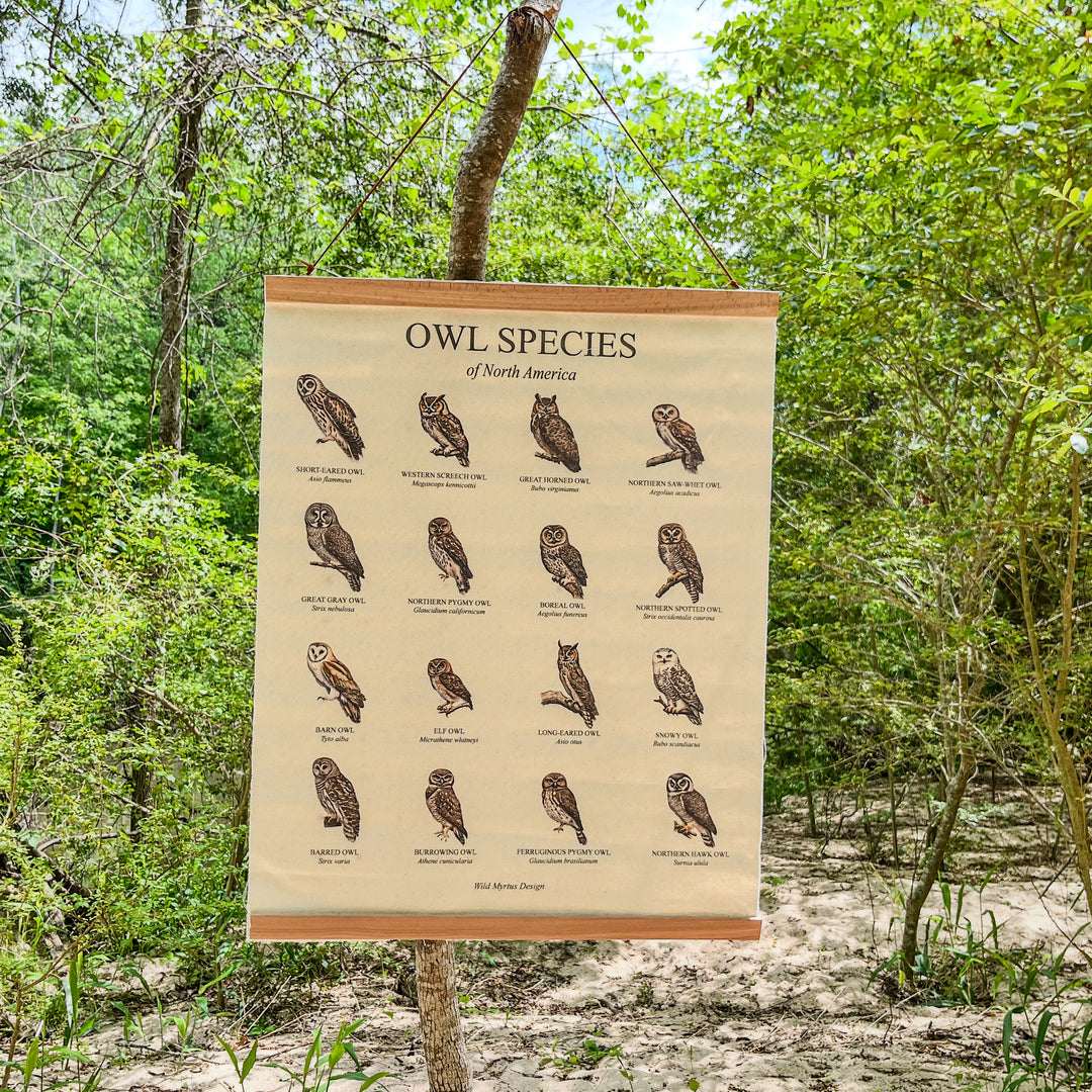 Handmade hanging organic raw canvas wall art featuring illustrated owl species from North American forests. Perfect decor for nature lovers, outdoor adventurers and wildlife enthusiasts.