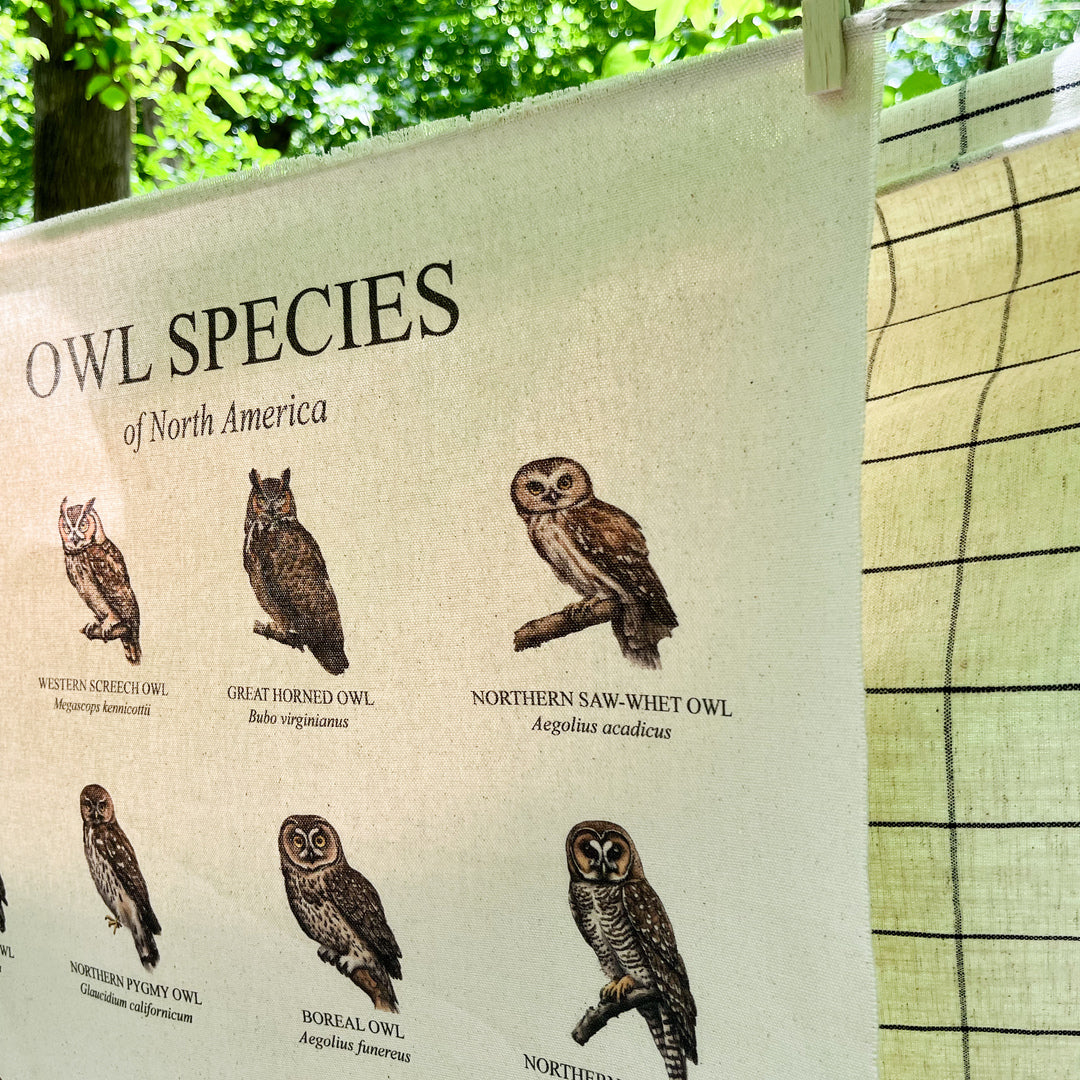 Handmade hanging organic raw canvas wall art featuring illustrated owl species from North American forests. Perfect decor for nature lovers, outdoor adventurers and wildlife enthusiasts.