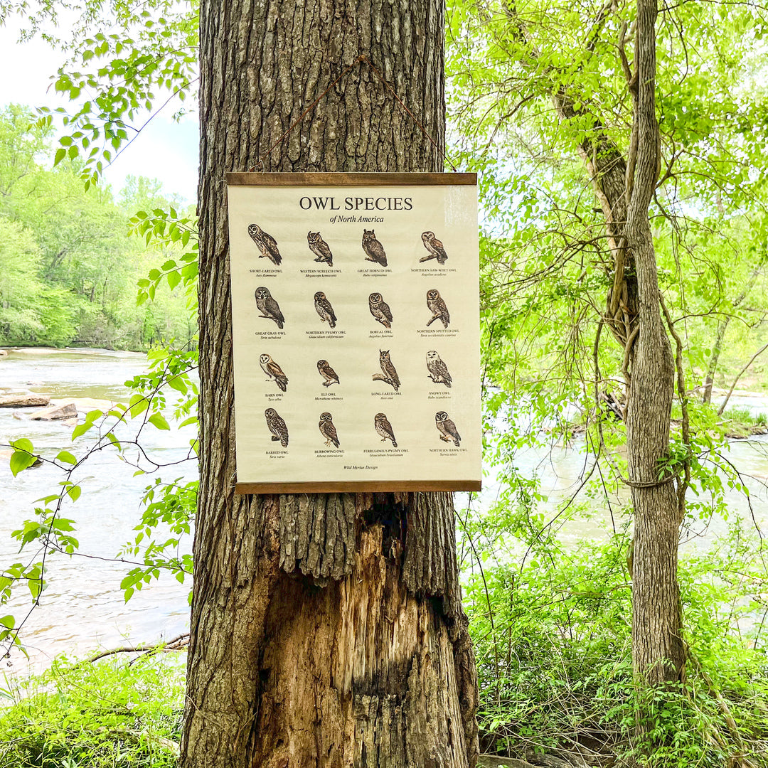 Handmade hanging organic raw canvas wall art featuring illustrated owl species from North American forests. Perfect decor for nature lovers, outdoor adventurers and wildlife enthusiasts.