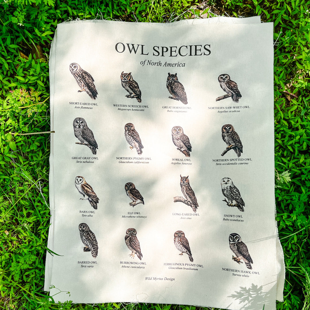Handmade hanging organic raw canvas wall art featuring illustrated owl species from North American forests. Perfect decor for nature lovers, outdoor adventurers and wildlife enthusiasts.