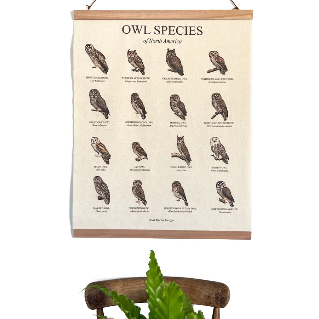 Handmade hanging organic raw canvas wall art featuring illustrated owl species from North American forests. Perfect decor for nature lovers, outdoor adventurers and wildlife enthusiasts.
