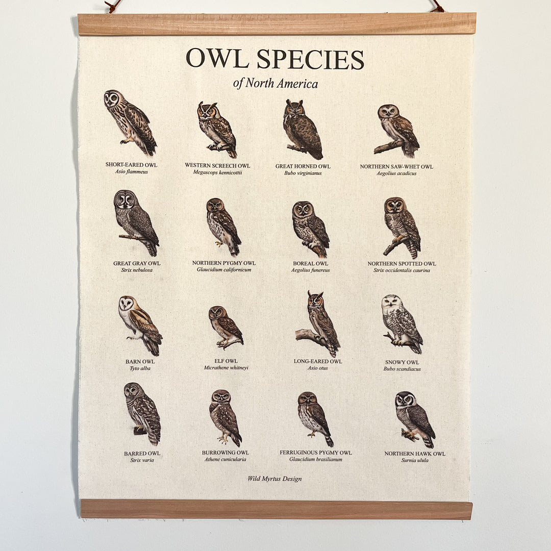 Handmade hanging organic raw canvas wall art featuring illustrated owl species from North American forests. Perfect decor for nature lovers, outdoor adventurers and wildlife enthusiasts.