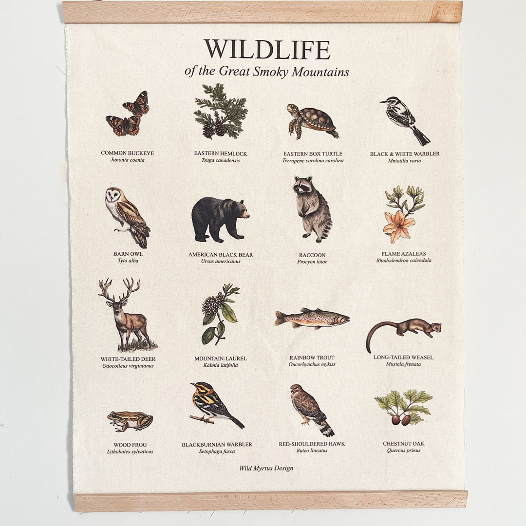 Handmade hanging organic raw canvas wall art featuring plant & animal illustrations from the Great Smoky Mountains forests. Perfect decor for nature lovers, outdoor adventurers and wildlife enthusiasts.