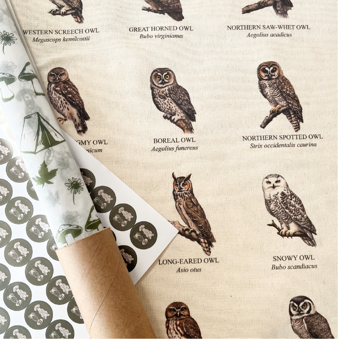 Handmade hanging organic raw canvas wall art featuring illustrated owl species from North American forests. Perfect decor for nature lovers, outdoor adventurers and wildlife enthusiasts.