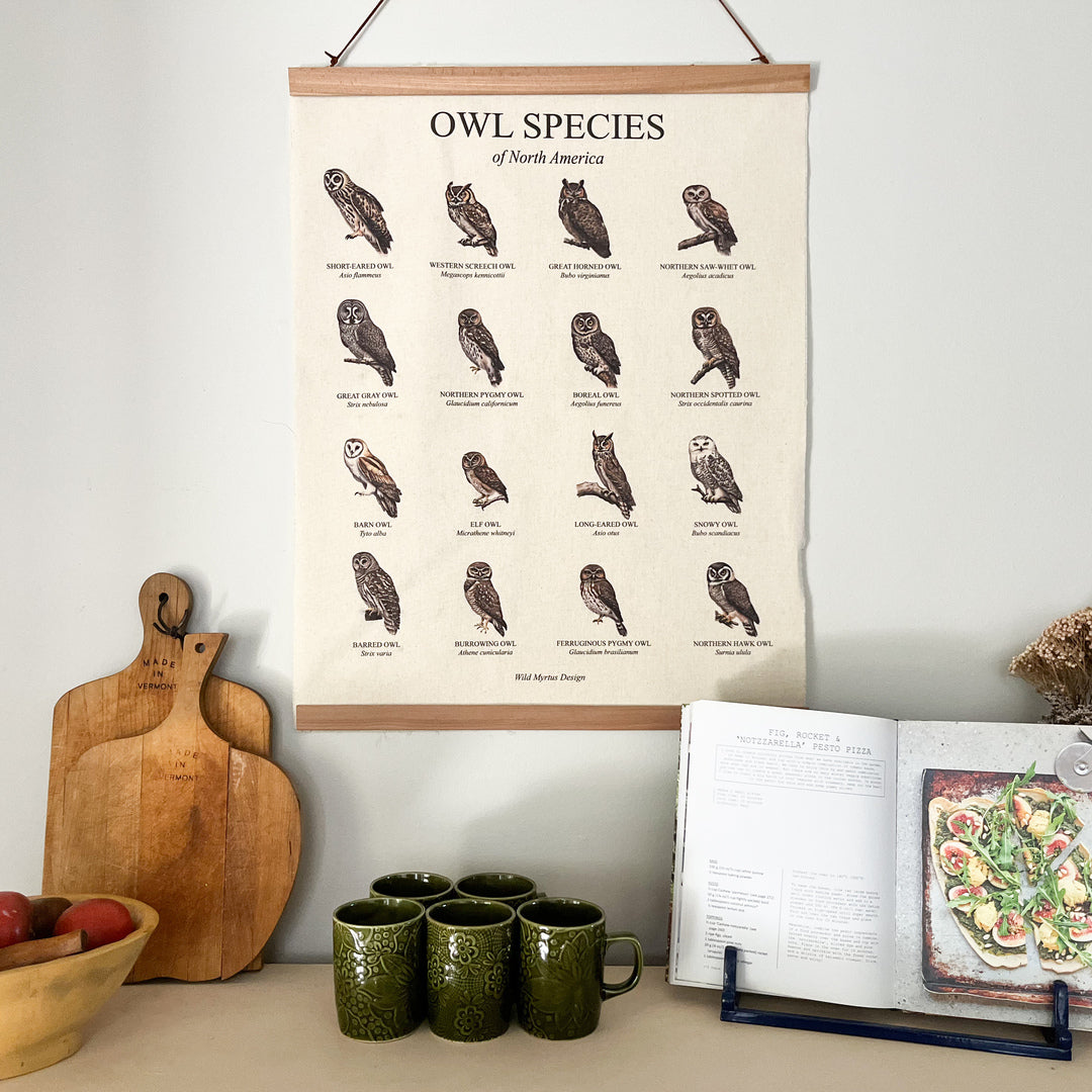 Handmade hanging organic raw canvas wall art featuring illustrated owl species from North American forests. Perfect decor for nature lovers, outdoor adventurers and wildlife enthusiasts.